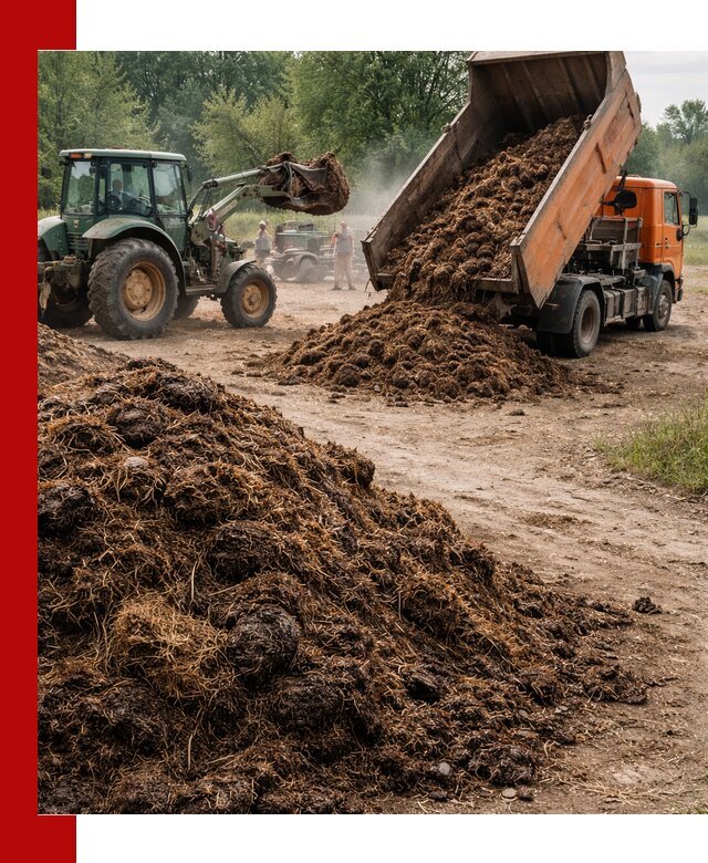 Доставка навоза самосвалами в Кингисеппе для сельхозпотребностей